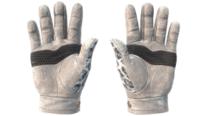 Snow Leopard image