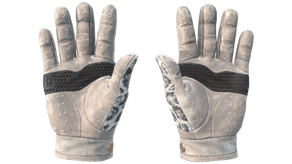 Snow Leopard image