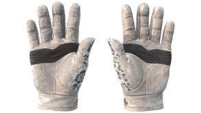 Snow Leopard image