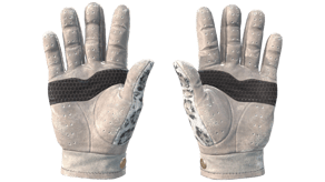Snow Leopard image