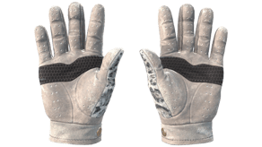Snow Leopard image