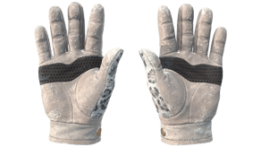 Snow Leopard image