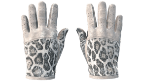 Snow Leopard image