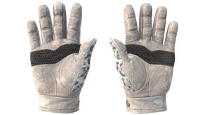 Snow Leopard image