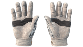 Snow Leopard image