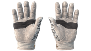 Snow Leopard image