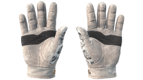 Snow Leopard image