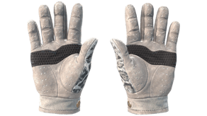 Snow Leopard image