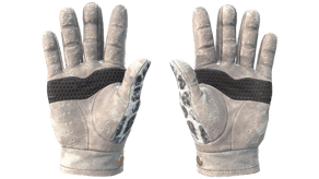 Snow Leopard image