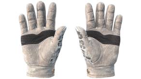 Snow Leopard image