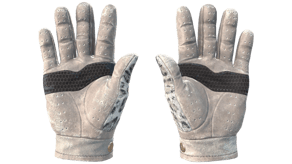 Snow Leopard image