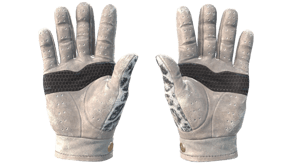 Snow Leopard image