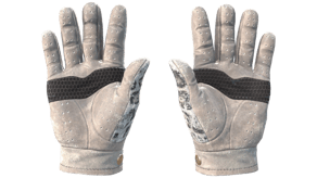 Snow Leopard image
