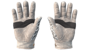 Snow Leopard image
