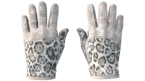 Snow Leopard image