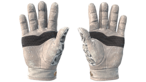 Snow Leopard image
