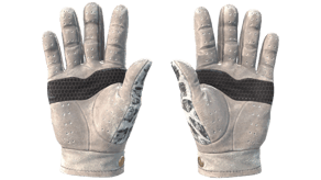 Snow Leopard image