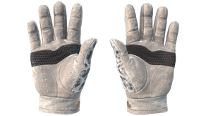 Snow Leopard image