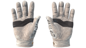 Snow Leopard image