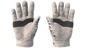 Snow Leopard image