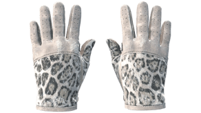 Snow Leopard image