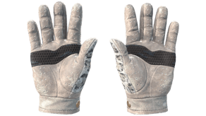 Snow Leopard image