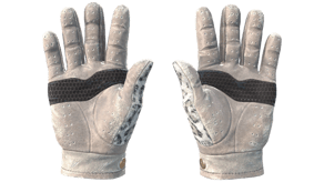 Snow Leopard image
