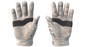 Snow Leopard image
