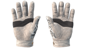 Snow Leopard image