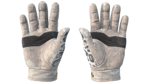Snow Leopard image