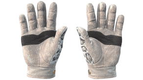 Snow Leopard image