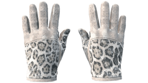 Snow Leopard image