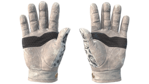 Snow Leopard image