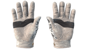 Snow Leopard image