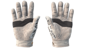 Snow Leopard image