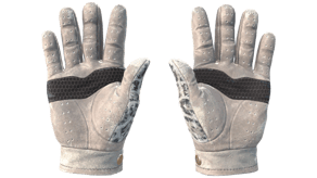 Snow Leopard image