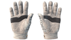Snow Leopard image