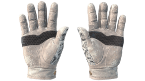 Snow Leopard image