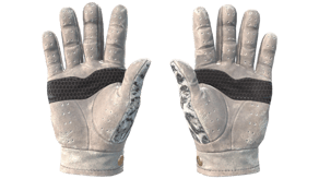 Snow Leopard image
