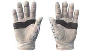 Snow Leopard image
