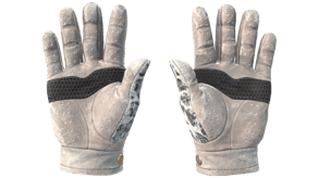 Snow Leopard image