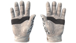 Snow Leopard image