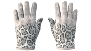 Snow Leopard image