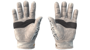 Snow Leopard image