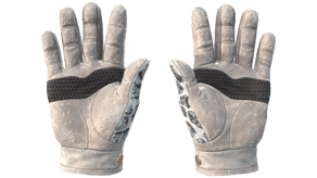 Snow Leopard image