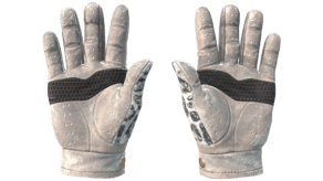 Snow Leopard image