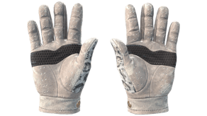 Snow Leopard image