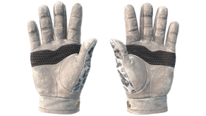 Snow Leopard image