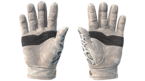 Snow Leopard image