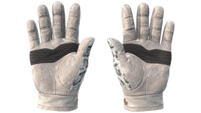 Snow Leopard image